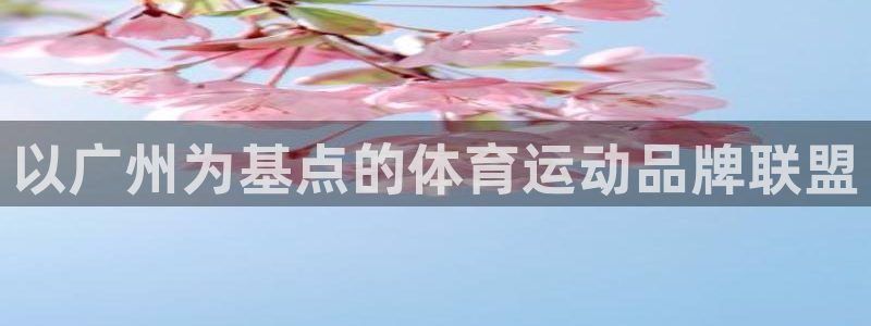 以广州为基点的体育运动品牌联盟