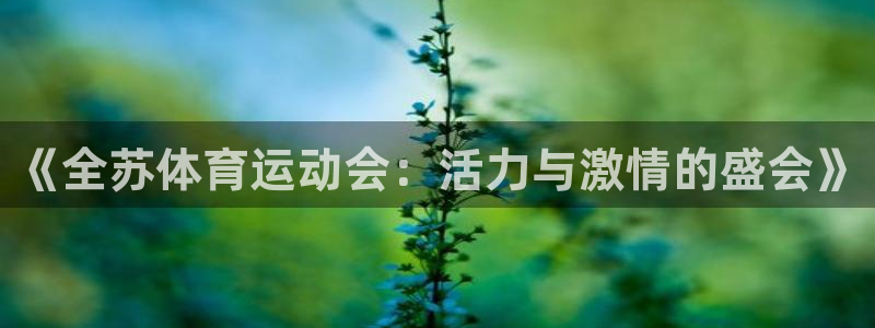 《全苏体育运动会：活力与激情的盛会》