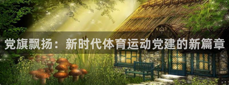 党旗飘扬：新时代体育运动党建的新篇章