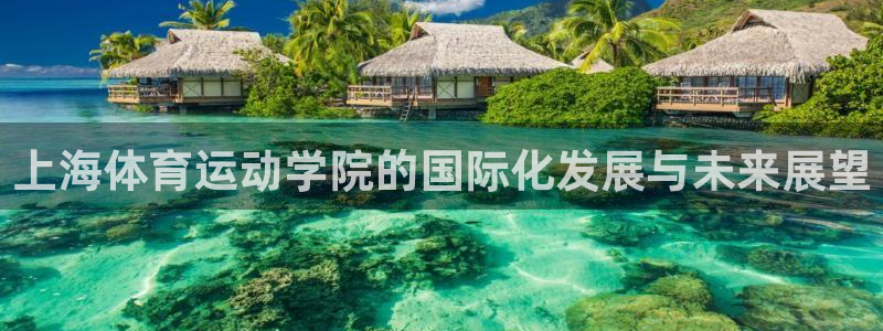 上海体育运动学院的国际化发展与未来展望