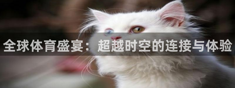 全球体育盛宴：超越时空的连接与体验